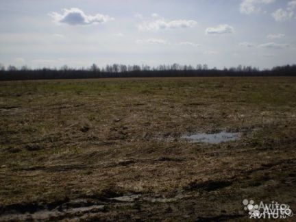 ������ ��������� ������� � �������� (���� �2)