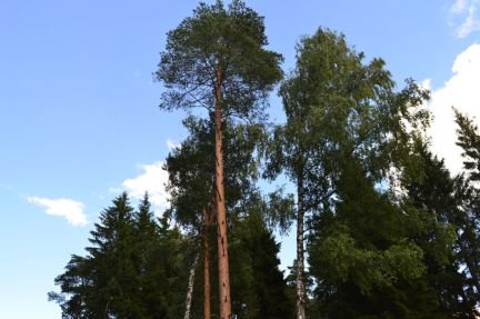 ������ ��������� ������� 12 ����� ������ (���� �2)