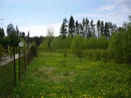 ������ ��������� ������� �� 25 �� �� ���� ���. ������� (���� �2)