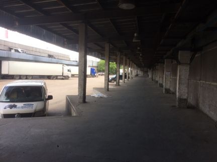 ����� ����� ����� �������������� ����� ������������� �� (���� �5)