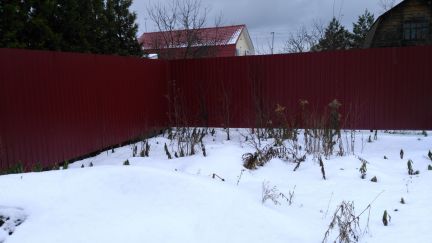 ������ ��� � ��� �������� ������ �. ��������� (���� �5)