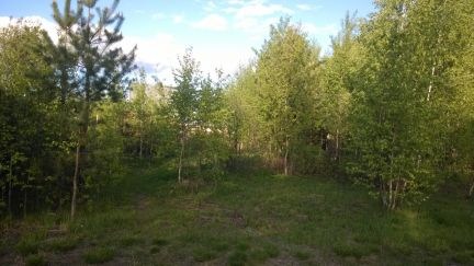 ������ ��������� ������� ������� �������� ��� �������� (���� �3)