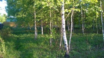 ������ ��������� ������� ������� �������� ��� �������� (���� �4)