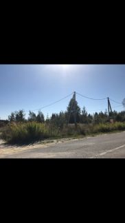 ������ ��������� ������� ������� ������� (���� �5)