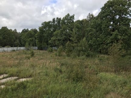 ������ ��������� ������� �� 5 �� �� ���� ����������� ����� ������� ������-2 (���� �7)