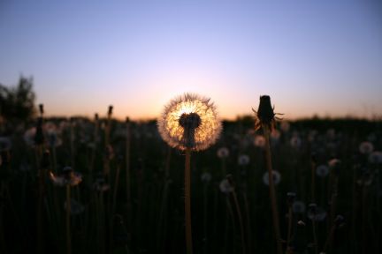 ������ ��������� ������� �� 60 �� �� ���� ���.��������� ��. ����� ��.10 (���� �10)