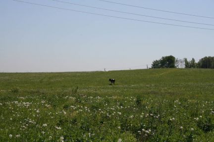 ������ ��������� ������� �� 60 �� �� ���� ���.��������� ��. ����� ��.10 (���� �14)