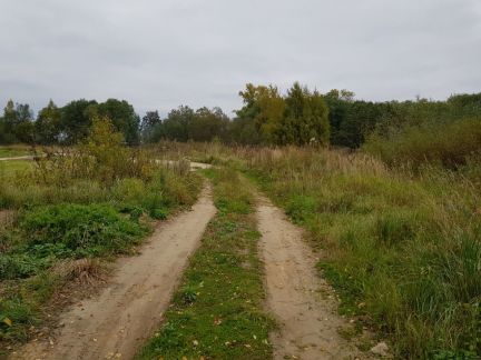 ������ ��������� ������� �� ����������� ����� ������� �������� (���� �2)