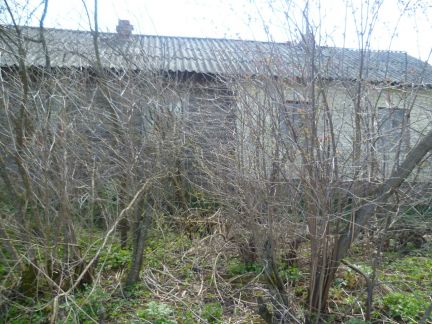 ������ ��� �� 105 �� �� ���� ������������� �-�� ������� ������� (���� �8)