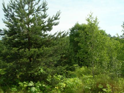 ������ ��������� ������� 3 �������������������� ������������.������ (���� �3)