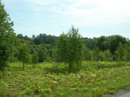 ������ ��������� ������� 3 �������������������� ������������.������ (���� �6)