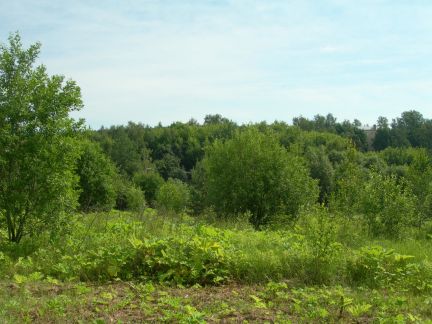 ������ ��������� ������� 3 �������������������� ������������.������ (���� �7)