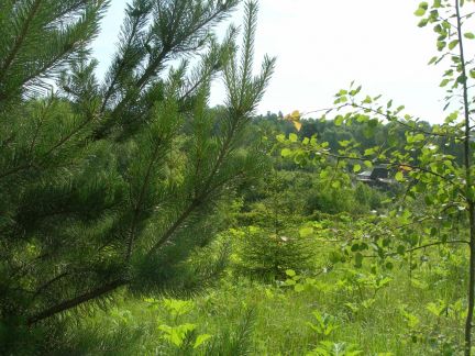 ������ ��������� ������� 3 �������������������� ������������.������ (���� �8)