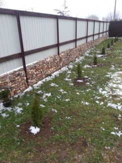 ������ ��� � ��� ������� �� 80 �� �� ���� �� ������������ ����� (���� �6)