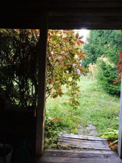 ��������� ������� ��� ��������� (���� �6)