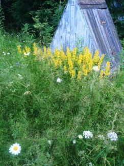 ��������� ������� ��� ��������� (���� �9)