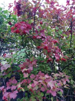 ��������� ������� ��� ��������� (���� �10)