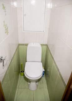      13 ( 16)