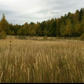 ������ ��������� ������� ��������� ������� ������ (���� �5)