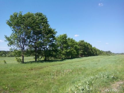 ������ ��������� ������� ����������� ��� (���� �2)