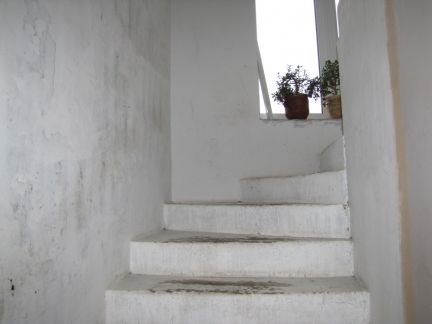 ������ ��������� ������� 5 ����� �. ������� (���� �8)