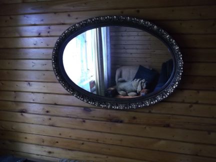 ������ ��������� ������� 6 ����� ���������� ���. ���������� ����� ��������� ��������� ������ �.����� (���� �14)