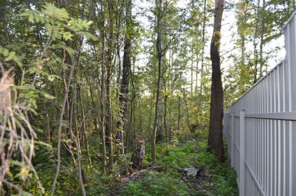 ������ ��������� ������� � ������� ��������� ������������� ����� (���� �2)