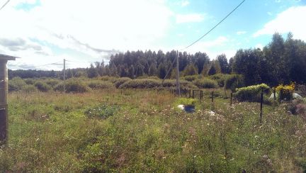 ������ ��������� ������� � ��� ������� (���� �2)