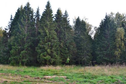 ������ ��������� ������� ������� ������� (���� �5)