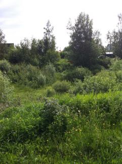 ������ ��������� ������� � ��� �������� (���� �5)