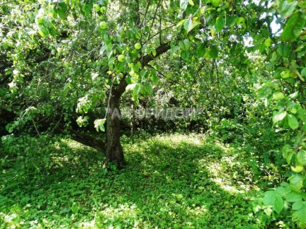 ������ ��������� ������� �� 3 �� �� ���� ���� ���������� (���� �6)