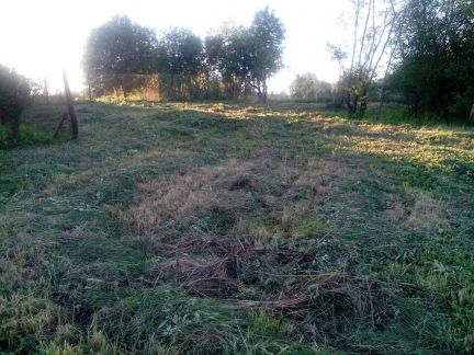 ������ ��� ������� �������� � 75 �������� ��������� ����� (���� �2)