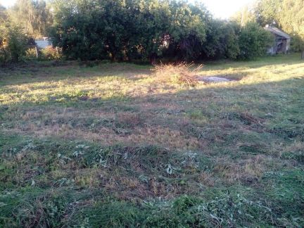 ������ ��� ������� �������� � 75 �������� ��������� ����� (���� �5)