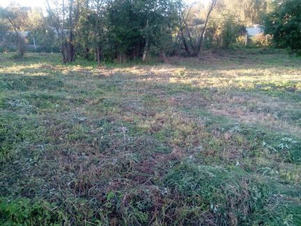 ������ ��� ������� �������� � 75 �������� ��������� ����� (���� �7)