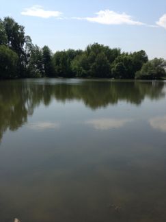 ������ ��������� ������� �� ���� ��� (���� �6)