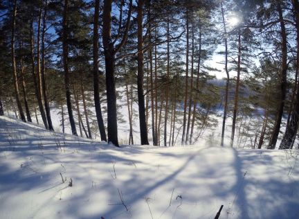 ������ ��������� ������� � ����������� ������� �. �������� (���� �4)