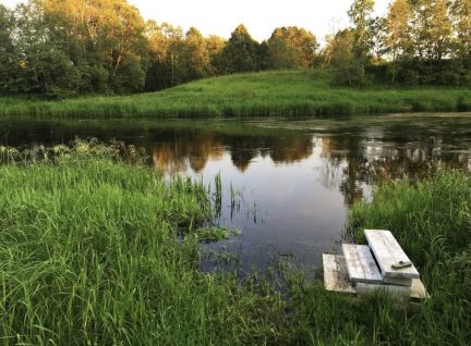 ������ ��������� ������� � ����������� ������� �. �������� (���� �6)