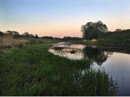 ������ ��������� ������� � ����������� ������� �. �������� (���� �7)