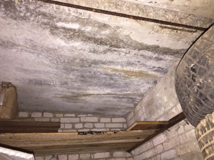 ������ ����� � ��� ����� (���� �6)