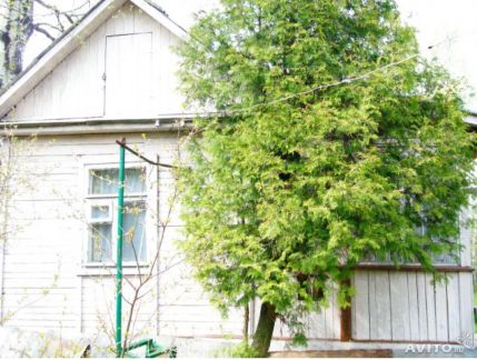 ������ ��������� ������� ���. �������� ��� ������� ������� (���� �8)