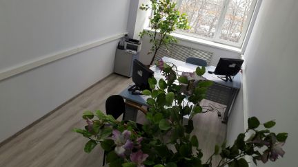 ����� ���� � �� krol (���� �2)