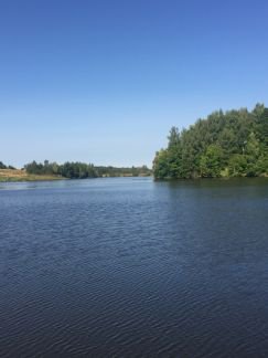 ������ ��������� ������� �������-����� (���� �8)