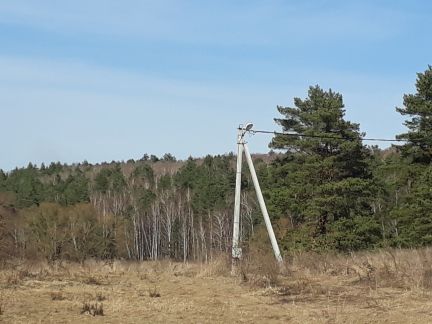 ������ ��������� ������� �� ���������������� �� (���� �2)