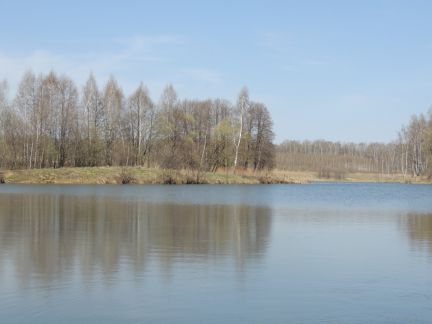 ������ ��������� ������� �� ���������������� �� (���� �4)