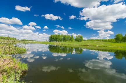 ������ ��������� ������� � ���� �� ���������������� ����� 12 �����. (���� �5)