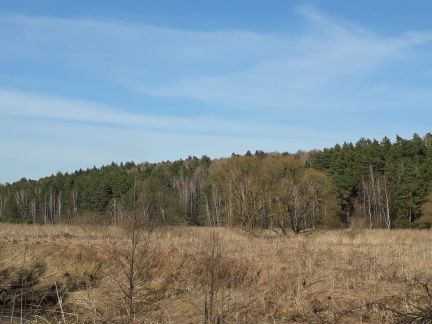 ������ ��������� ������� 10 ������� 75 �� �� ���� �� ���������� ����� (���� �4)