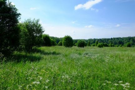 ������ ��������� ������� ������� ����� (���� �2)