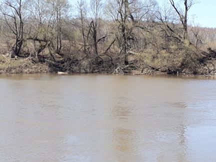 ������ ��������� ������� 14 ����� � 75 �� �� ���� (���� �2)