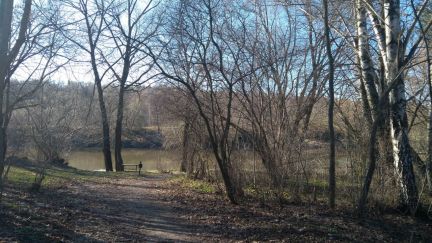 ������ ��������� ������� � ��� ������� ������ (���� �2)