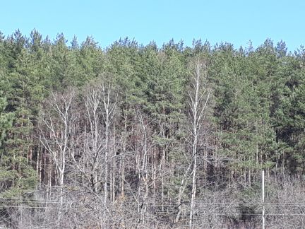 ������ ��������� ������� 12 �����. (���� �5)